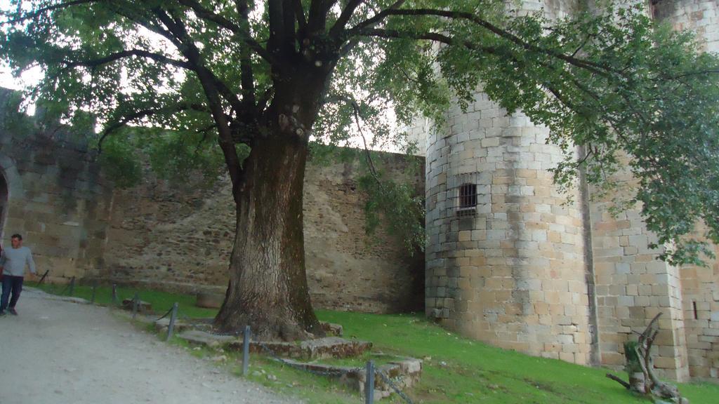 Casas Rurales El Caminante Aldeanueva del Camino Exterior foto